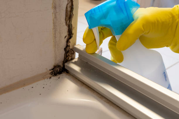 Best Industrial Mold Remediation in Knightsen, CA