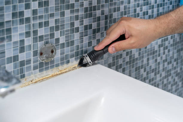 Best Kitchen Mold Remediation in Knightsen, CA